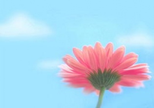 写给老公的励志一句话
