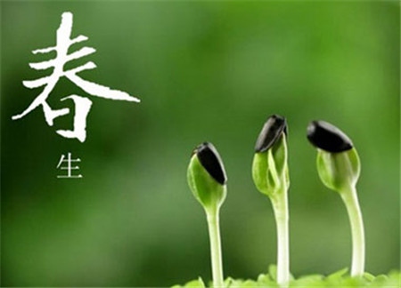 描写春天的句子有哪些