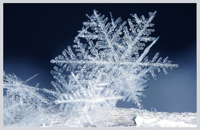 有关雪花的句子 有关雪花的句子