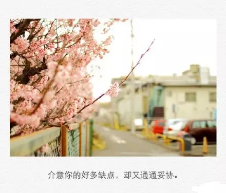 唯美爱情语录