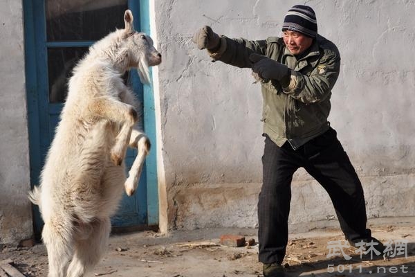 超幽默的座右铭
