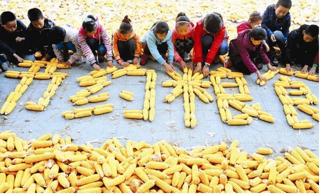 节约粮食名言 节约粮食名言