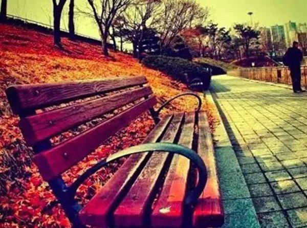 伤感的句子看了都想流眼泪