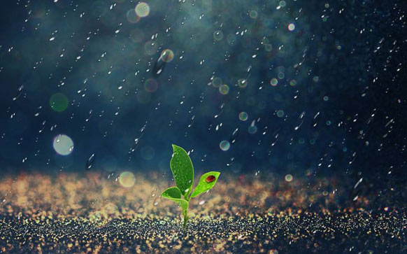 雨的名言或标语