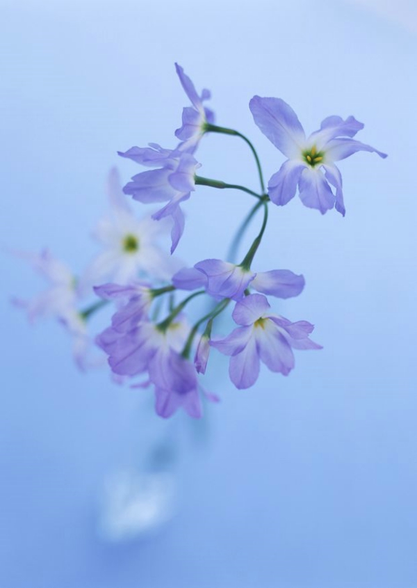 端午节日问候短信 端午节日问候短信