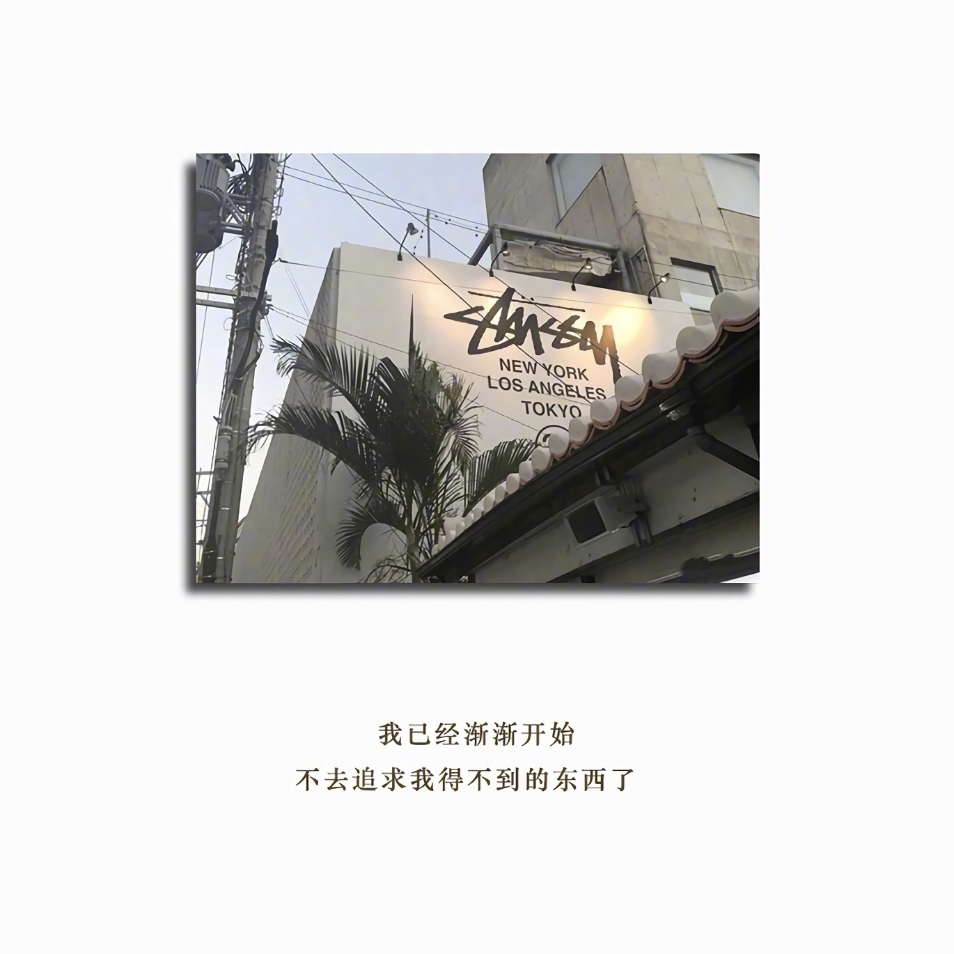 关于青春心酸的句子