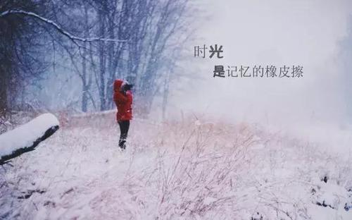 文艺伤感心碎的句子