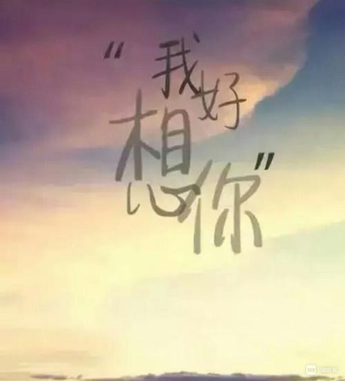 不后悔爱上你的句子