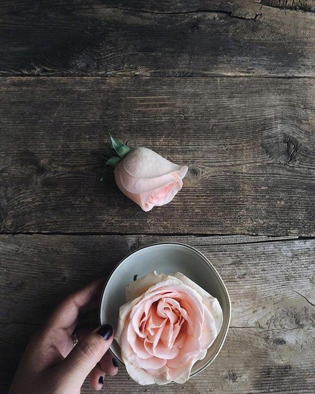 心痛很烦又有谁懂我的句子