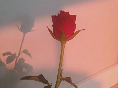 起床感到心痛的句子 起床感到心痛的句子