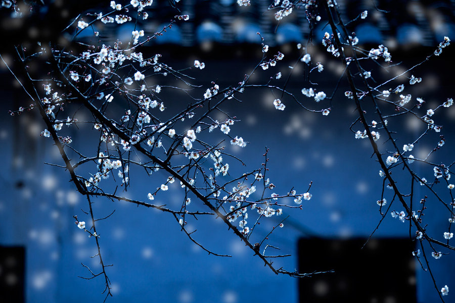 雨下得让人心烦的句子