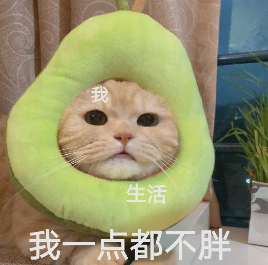 适合搭配自拍发朋友圈的文案 可爱幽默的自拍句子 适合搭配自拍发朋友圈的文案 可爱幽默的自拍句子