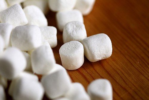 亲情血缘感动的句子