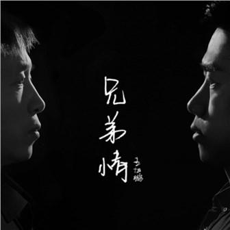 赞美兄弟亲情的句子大全