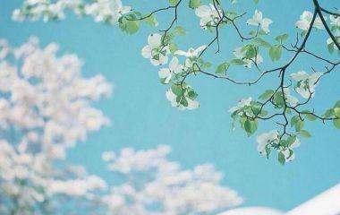 亲情类思念的描写优美句子