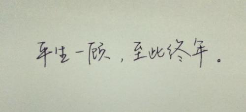 遇见你不后悔的句子