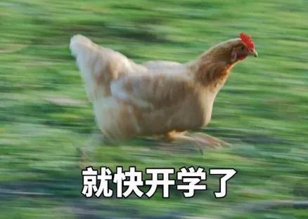 适合九月开学发的搞笑句子  开学适合发朋友圈的沙雕文案
