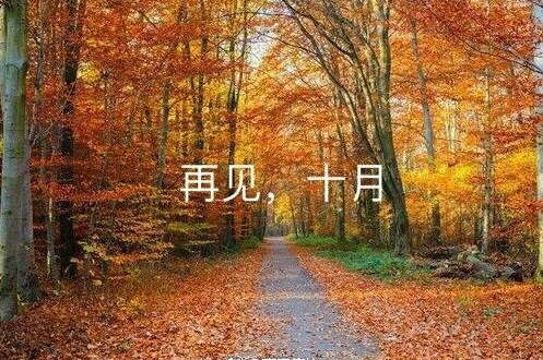 2022十月再见十一月你好说说 十一月你好的心情说说