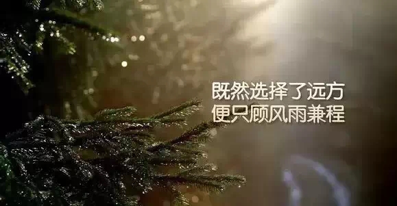 经典有内涵的句子