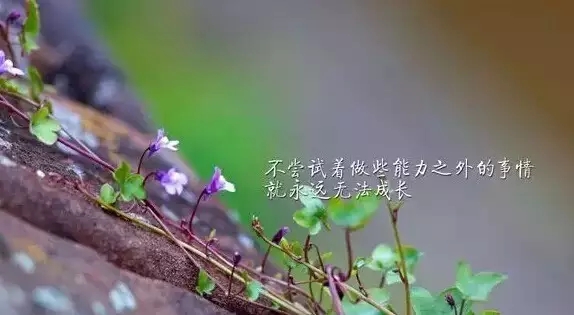 最新微博热搜句子