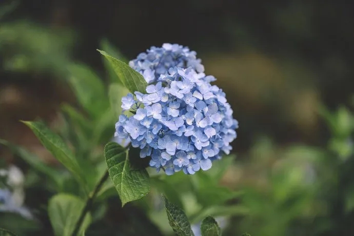明星经典句子