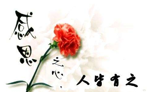 一些感恩的句子
