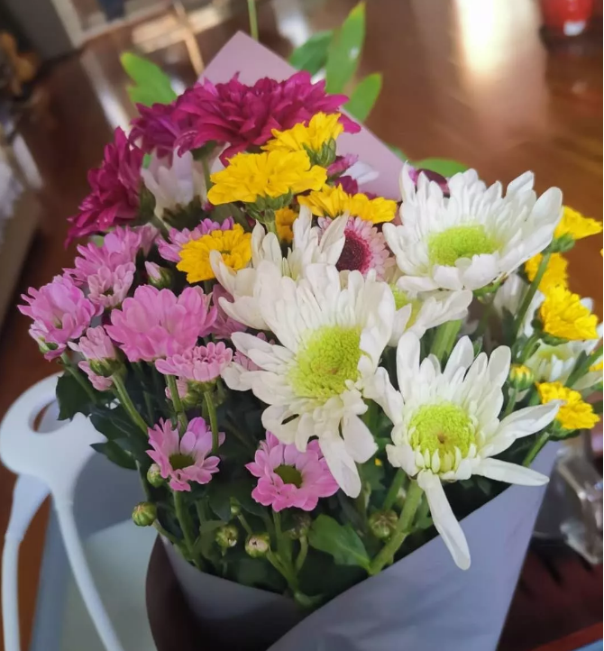 小雏菊花语 小雏菊花语