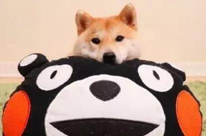 关于lol的搞笑说说