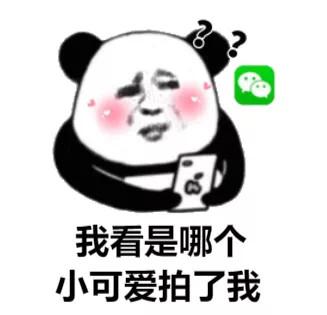 微信拍一拍搞笑后缀可爱 微信拍一拍搞笑后缀可爱
