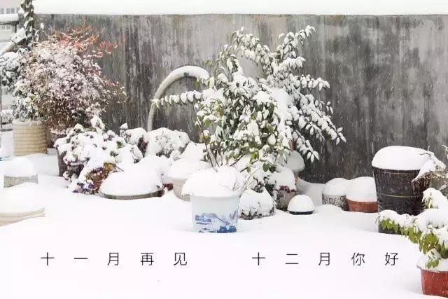 十二月你好简短说说
