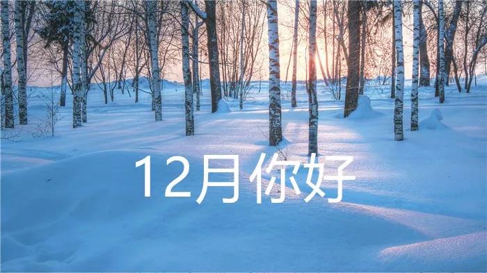 十一月再见十二月你的句子