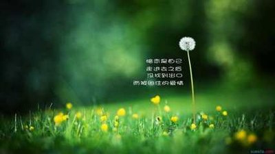 情人伤感的句子