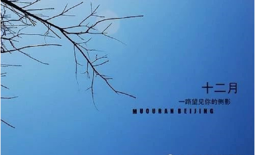 十一月再见十二月你好唯美句子