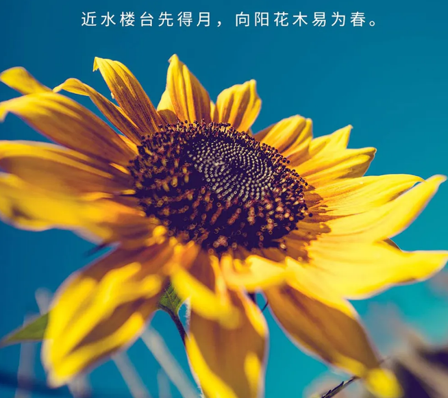 经典精辟短句