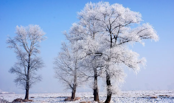 描写冬天大雪的诗句