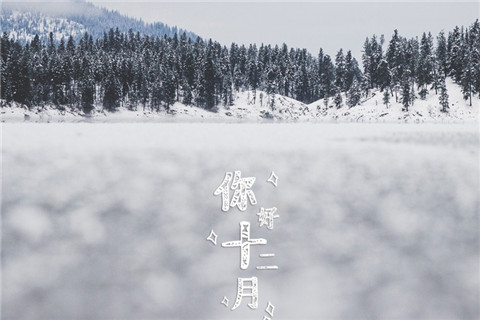 适合十二月发的句子