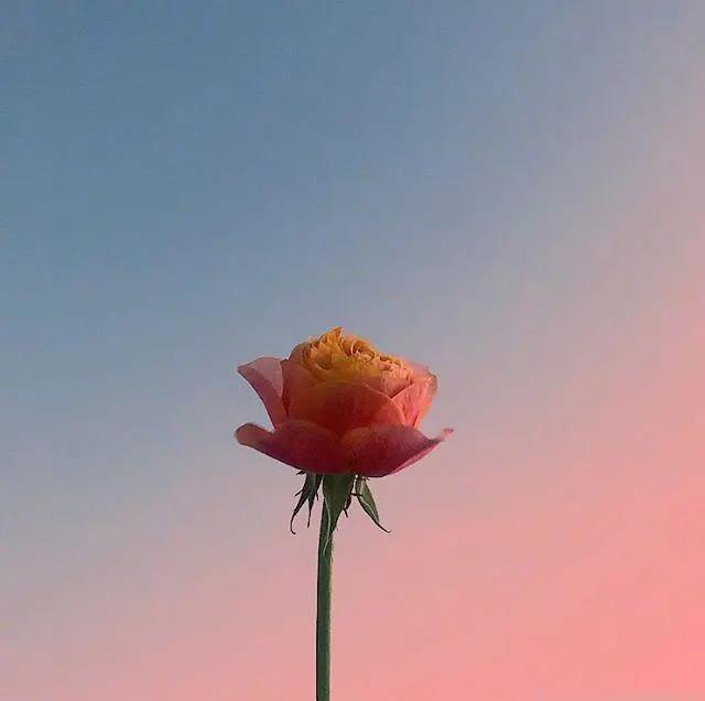 让人瞬间沉默的现实句子