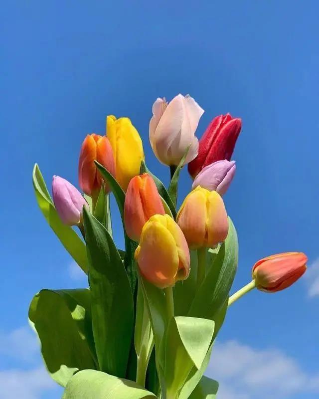 朋友圈超迷人的早安句子 朋友圈超迷人的早安句子