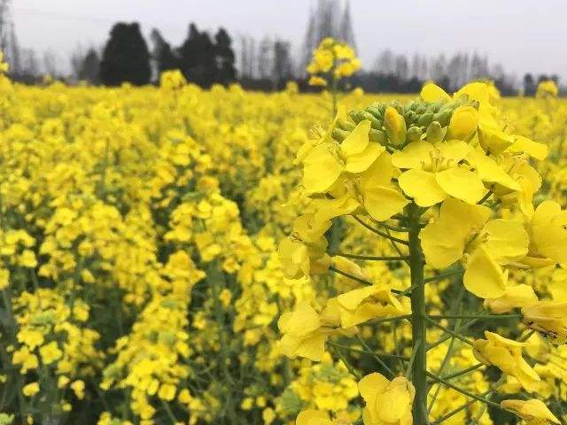 天气转暖周末问候短信