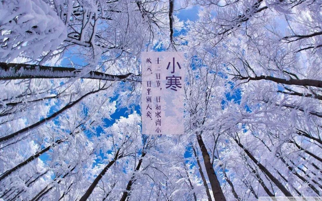 小寒暖心话