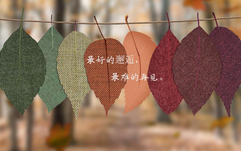 决定放弃一个人的文案