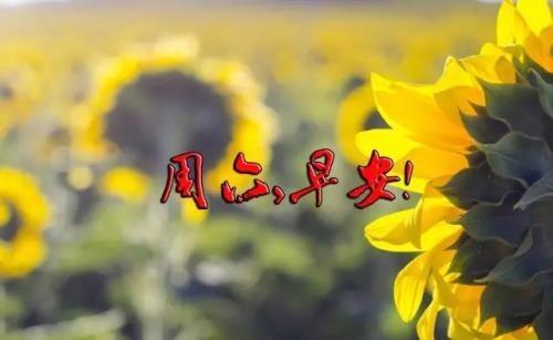 适合周六发朋友圈的句子 表达周六日心情的句子 适合周六发朋友圈的句子 表达周六日心情的句子
