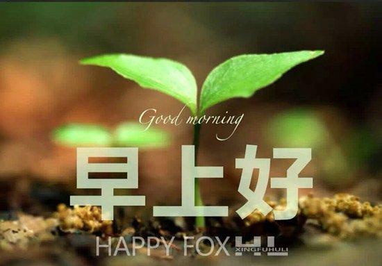 早安暖心话 早安心语简单一句话