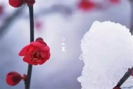 小寒节气优美的诗句