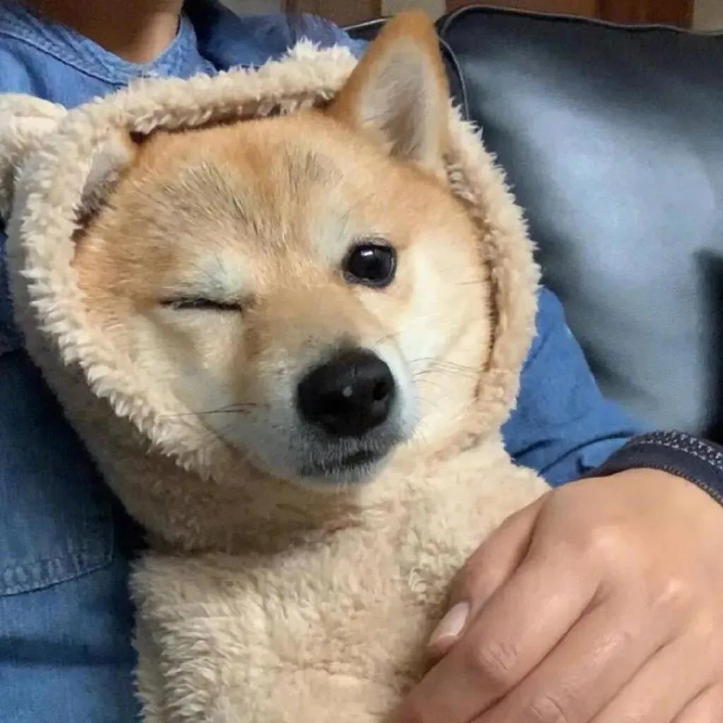 优雅气质经典短句