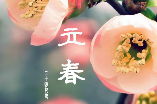 描写立春景色的优美句子