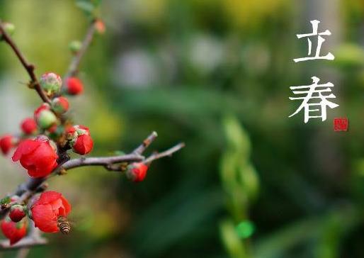 关于立春的唯美短句