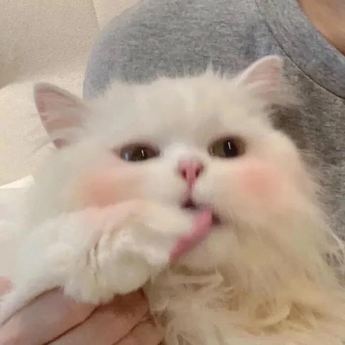 温柔干净的文案 很暖很治愈的短句