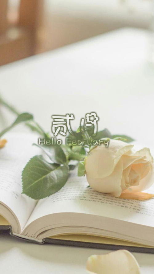 二月你好的说说心情