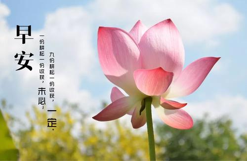 早上想发短信问候女孩